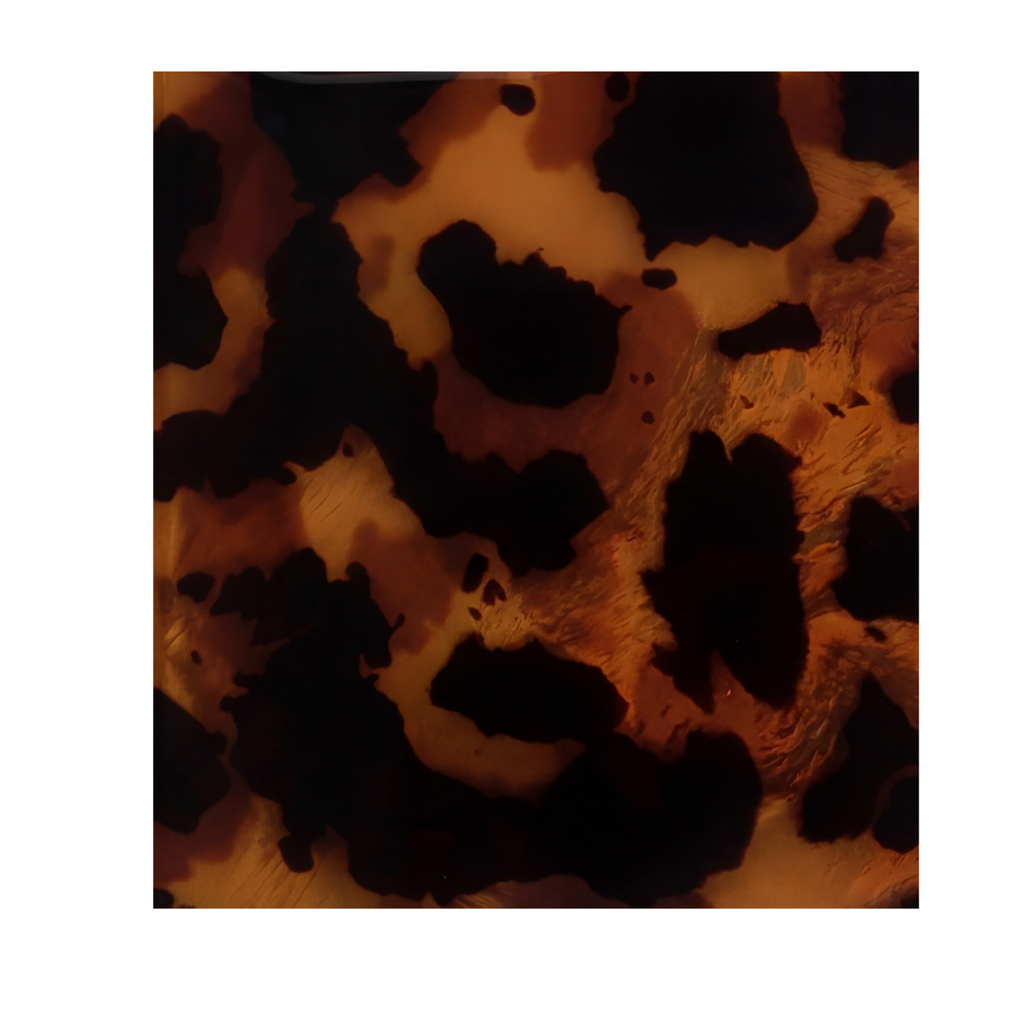 Tortoiseshell Case