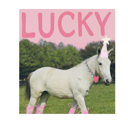 Lucky Pony Case